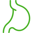 digestion-icon