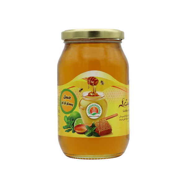 عسل بهارنارنج650گرمی