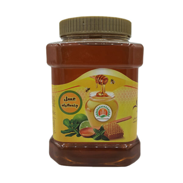 عسل چندگیاه 2 کیلویی