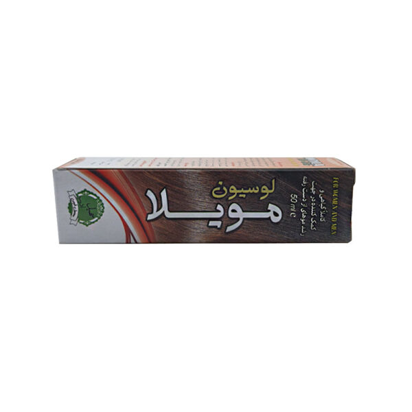 لویسون مویلا