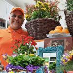 image-gallery7